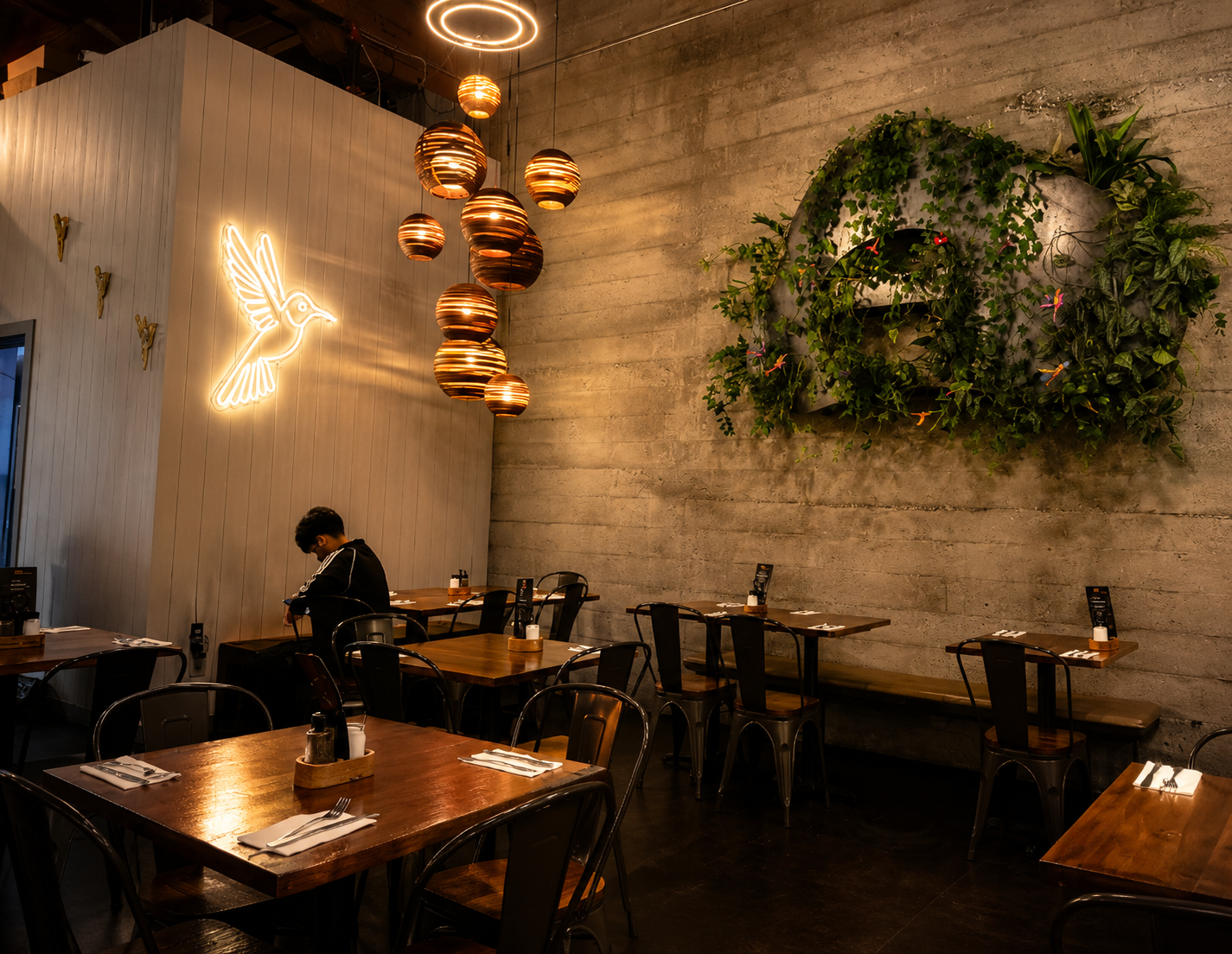 Interior Colibrí